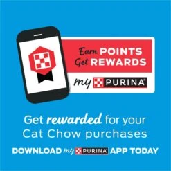 Kitten Chow Naturals Original With Added Vitamins, Minerals & Nutrients Dry Cat Food -PurePet Bites Shop 155804 PT7. AC SS1800 V1695836521