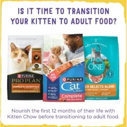 Kitten Chow Naturals Original With Added Vitamins, Minerals & Nutrients Dry Cat Food -PurePet Bites Shop 155804 PT8. AC SS1800 V1695740175