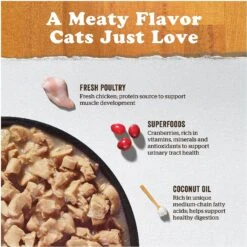 Now Fresh Grain-Free Minced Chicken Recipe Wet Cat Food 13 Now Fresh Grain-Free Minced Chicken Recipe Wet Cat Food -PurePet Bites Shop 156605 PT2. AC SS1800 V1637792597