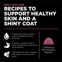 Go! Solutions Skin + Coat Care Chicken Recipe Dry Cat Food -PurePet Bites Shop 157012 PT1. AC SS1800 V1638841103