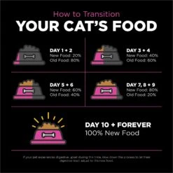 Go! Solutions Skin + Coat Care Chicken Recipe Dry Cat Food -PurePet Bites Shop 157012 PT7. AC SS1800 V1638842198