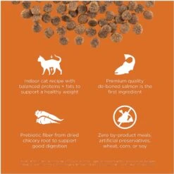 Go! Solutions Skin + Coat Care Grain-Free Salmon Recipe Dry Cat Food -PurePet Bites Shop 157019 PT2. AC SS1800 V1638838955