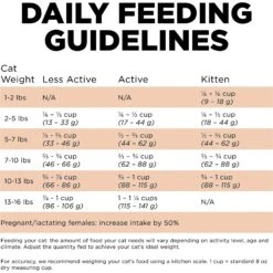 Go! Solutions Skin + Coat Care Grain-Free Salmon Recipe Dry Cat Food -PurePet Bites Shop 157019 PT6. AC SS1800 V1638832355