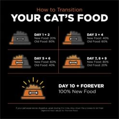 Go! Solutions Skin + Coat Care Grain-Free Salmon Recipe Dry Cat Food -PurePet Bites Shop 157019 PT7. AC SS1800 V1638836824