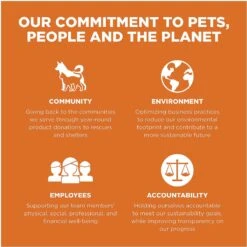 Go! Solutions Skin + Coat Care Grain-Free Salmon Recipe Dry Cat Food -PurePet Bites Shop 157019 PT8. AC SS1800 V1638835595