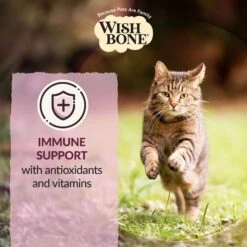Wishbone Graze New Zealand Beef & Lamb Grain-Free Complete Cat Health Dry Cat Food -PurePet Bites Shop 157491 PT5. AC SS1800 V1702503577