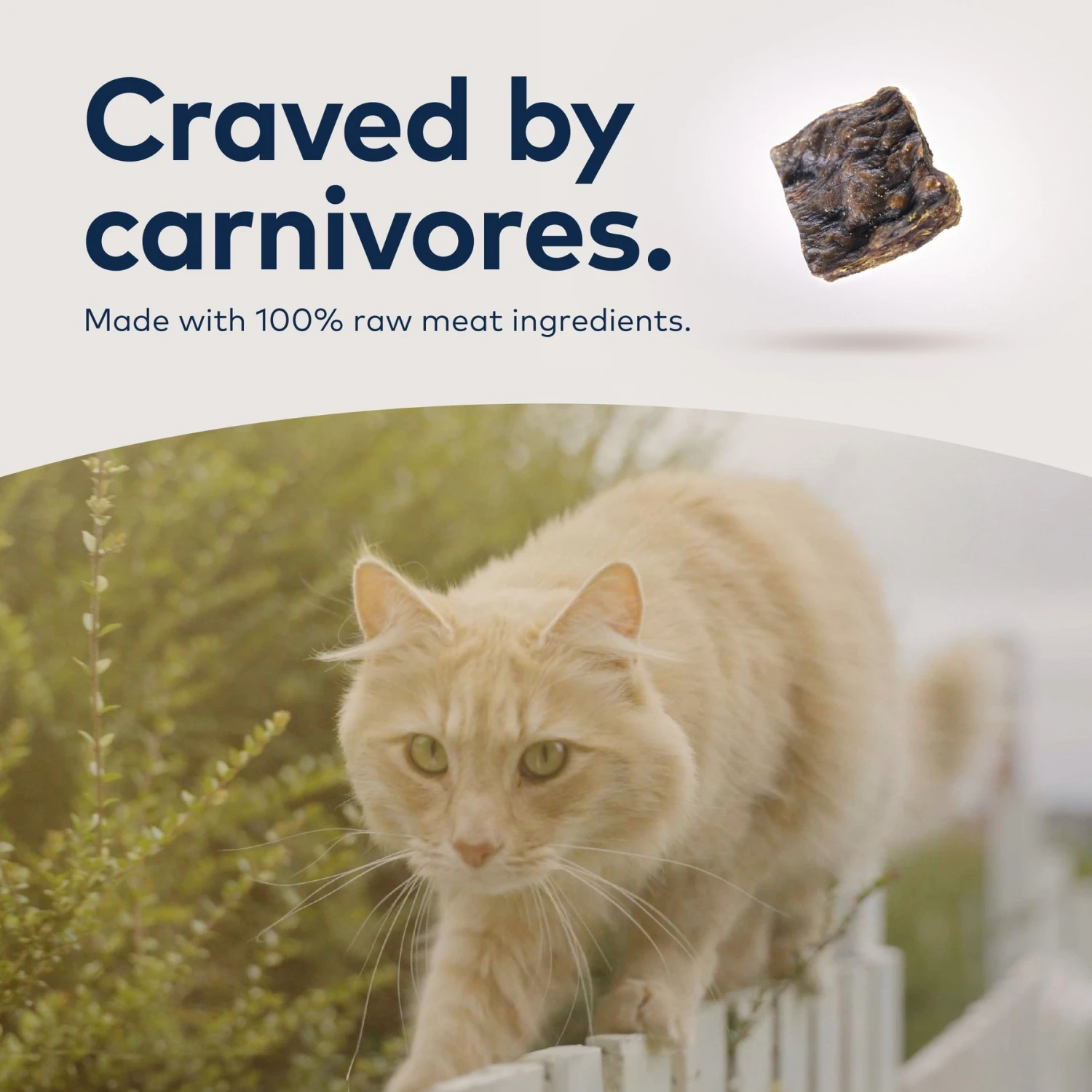 ZIWI Peak Air-Dried Mackerel & Lamb Recipe Cat Food 9 ZIWI Peak Air-Dried Mackerel & Lamb Recipe Cat Food - Image 7