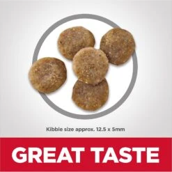 Hill's Science Diet Adult Sensitive Stomach & Skin Grain-Free Salmon & Yellow Pea Recipe Dry Cat Food -PurePet Bites Shop 157794 PT2. AC SS1800 V1617658363