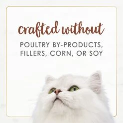 Fancy Feast Gourmet Naturals Poultry & Beef Variety Pack Canned Cat Food -PurePet Bites Shop 158492 PT7. AC SS1800 V1677103480