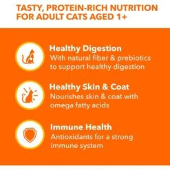 Iams Perfect Portions Indoor Tuna & Salmon Recipe Grain-Free Cuts In Gravy Variety Pack Adult Wet Cat Food Trays -PurePet Bites Shop 159241 PT3. AC SS1800 V1626816690