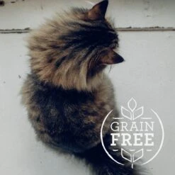 Meat Mates Beef Dinner Grain-Free Freeze-Dried Cat Food -PurePet Bites Shop 159688 PT2. AC SS1800 V1594998389