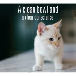 Meat Mates Chicken Dinner Grain-Free Freeze-Dried Cat Food -PurePet Bites Shop 159691 PT7. AC SS1800 V1595006458