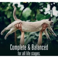 Meat Mates Chicken Dinner Grain-Free Freeze-Dried Cat Food -PurePet Bites Shop 159691 PT8. AC SS1800 V1594995054