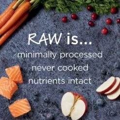 Instinct Raw Boost Grain-Free Recipe With Real Salmon & Freeze-Dried Raw Coated Pieces Dry Cat Food -PurePet Bites Shop 160766 PT3. AC SS1800 V1623433968