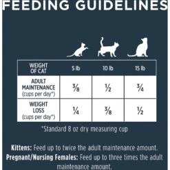 Instinct Raw Boost Grain-Free Recipe With Real Salmon & Freeze-Dried Raw Coated Pieces Dry Cat Food -PurePet Bites Shop 160766 PT8. AC SS1800 V1623434282