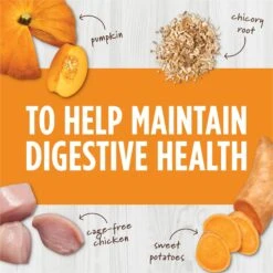 Instinct Freeze-Dried Raw Boost Mixers Grain-Free Digestive Health Recipe Cat Food Topper -PurePet Bites Shop 160784 PT3. AC SS1800 V1690554595