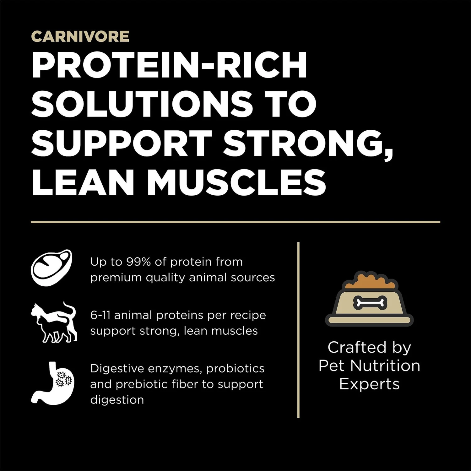 Go! Solutions Carnivore Grain-Free Lamb + Wild Boar Recipe Dry Cat Food 4 Go! Solutions Carnivore Grain-Free Lamb + Wild Boar Recipe Dry Cat Food - Image 2