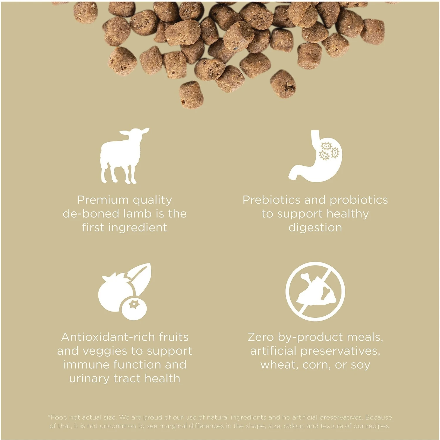 Go! Solutions Carnivore Grain-Free Lamb + Wild Boar Recipe Dry Cat Food 5 Go! Solutions Carnivore Grain-Free Lamb + Wild Boar Recipe Dry Cat Food - Image 3