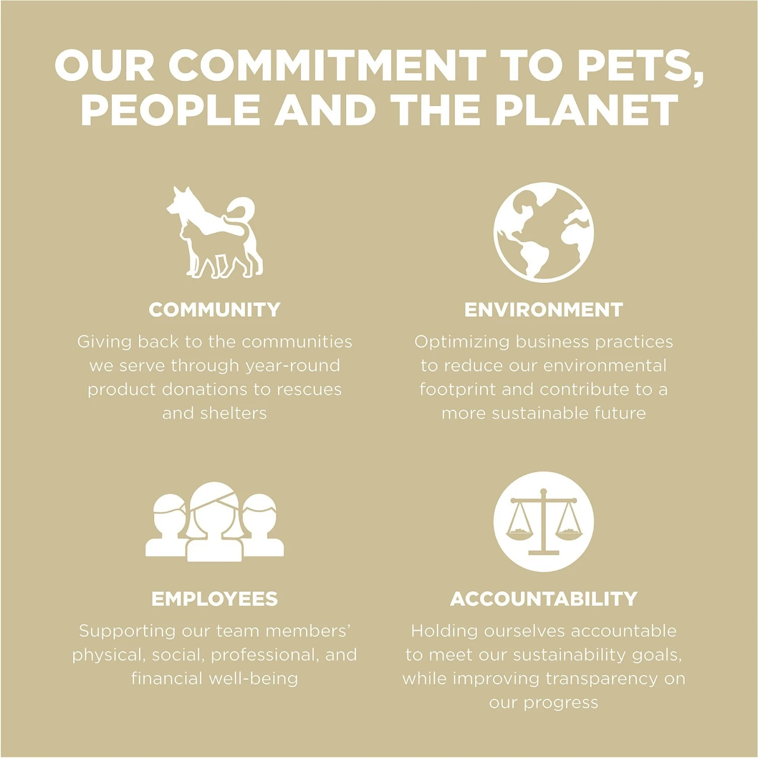 Go! Solutions Carnivore Grain-Free Lamb + Wild Boar Recipe Dry Cat Food 11 Go! Solutions Carnivore Grain-Free Lamb + Wild Boar Recipe Dry Cat Food - Image 9