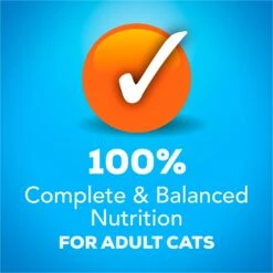 Friskies YUMbelievaBOX YUM-azing Extra Gravy Chunky Variety Pack Canned Cat Food -PurePet Bites Shop 163996 PT4. AC SS1800 V1554147424