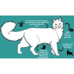 Chicken Soup For The Soul Kitten Chicken, Brown Rice & Pea Recipe Dry Cat Food -PurePet Bites Shop 165109 PT4. AC SS1800 V1694721810