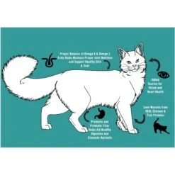 Chicken Soup For The Soul Weight & Mature Care Chicken & Brown Rice Recipe Dry Cat Food -PurePet Bites Shop 165125 PT5. AC SS1800 V1694726399