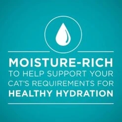 Purina ONE Indoor Advantage High Protein Ocean Whitefish & Rice Wet Cat Food -PurePet Bites Shop 166131 PT6. AC SS1800 V1590696691