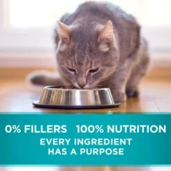 Purina ONE Indoor Advantage High Protein Ocean Whitefish & Rice Wet Cat Food -PurePet Bites Shop 166131 PT7. AC SS1800 V1590696756