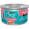Purina ONE Grain-Free Natural Pate Healthy Kitten Chicken & Salmon Recipe Wet Kitten Food -PurePet Bites Shop 166133 MAIN. AC SS1800 V1657656049