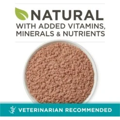 Purina ONE Grain-Free Natural Pate Healthy Kitten Chicken & Salmon Recipe Wet Kitten Food -PurePet Bites Shop 166133 PT1. AC SS1800 V1658230167