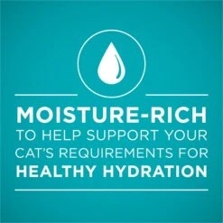 Purina ONE Grain-Free Natural Pate Healthy Kitten Chicken & Salmon Recipe Wet Kitten Food -PurePet Bites Shop 166133 PT2. AC SS1800 V1658226881