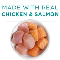 Purina ONE Grain-Free Natural Pate Healthy Kitten Chicken & Salmon Recipe Wet Kitten Food -PurePet Bites Shop 166133 PT3. AC SS1800 V1658189061