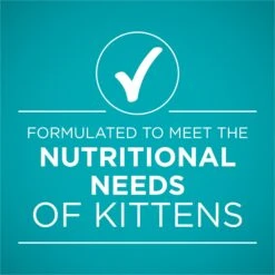 Purina ONE Grain-Free Natural Pate Healthy Kitten Chicken & Salmon Recipe Wet Kitten Food -PurePet Bites Shop 166133 PT5. AC SS1800 V1658226573