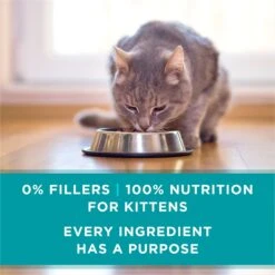 Purina ONE Grain-Free Natural Pate Healthy Kitten Chicken & Salmon Recipe Wet Kitten Food -PurePet Bites Shop 166133 PT6. AC SS1800 V1658190301