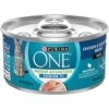 Purina ONE Indoor Advantage 7+ Chicken & Ocean Fish Recipe Pate Wet Cat Food -PurePet Bites Shop 166135 MAIN. AC SS1800 V1636671719