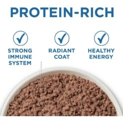 Purina ONE Indoor Advantage 7+ Chicken & Ocean Fish Recipe Pate Wet Cat Food -PurePet Bites Shop 166135 PT1. AC SS1800 V1636676487