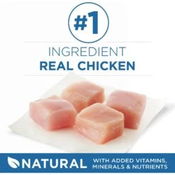 Purina ONE Indoor Advantage 7+ Chicken & Ocean Fish Recipe Pate Wet Cat Food -PurePet Bites Shop 166135 PT2. AC SS1800 V1636676190