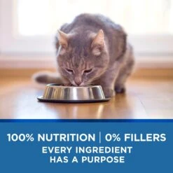 Purina ONE Indoor Advantage 7+ Chicken & Ocean Fish Recipe Pate Wet Cat Food -PurePet Bites Shop 166135 PT5. AC SS1800 V1636674714