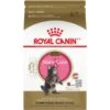Royal Canin Feline Breed Nutrition Maine Coon Kitten Dry Cat Food, 3-lb Bag -PurePet Bites Shop 169731 MAIN. AC SS1800 V1694811566