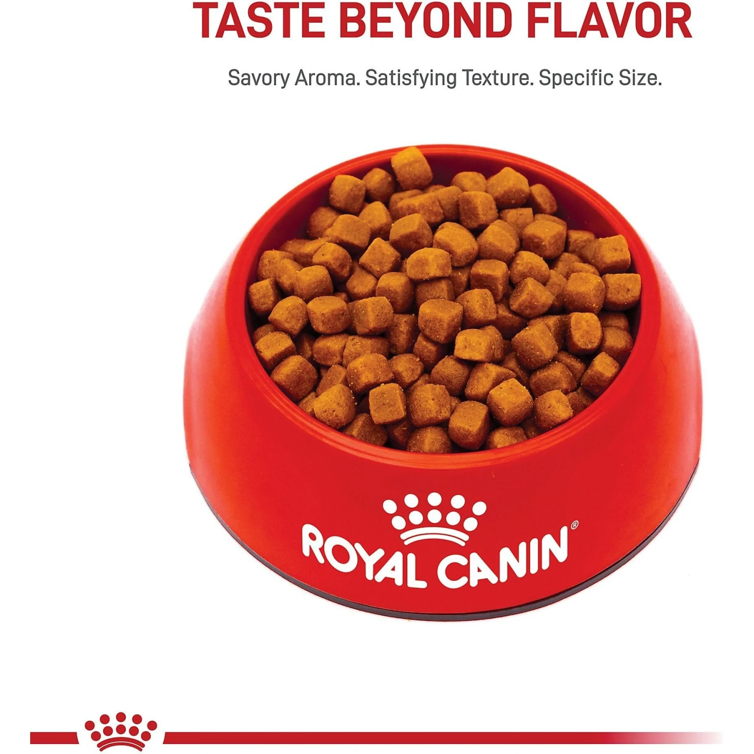 Royal Canin Feline Breed Nutrition Maine Coon Kitten Dry Cat Food, 3-lb Bag 4 Royal Canin Feline Breed Nutrition Maine Coon Kitten Dry Cat Food, 3-lb Bag - Image 2