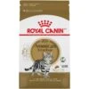 Royal Canin Feline Breed Nutrition American Shorthair Adult Dry Cat Food -PurePet Bites Shop 169732 MAIN. AC SS1800 V1697583131