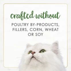 Fancy Feast Gourmet Naturals Pate Variety Pack Canned Cat Food, 3-oz, Case Of 12 -PurePet Bites Shop 172632 PT7. AC SS1800 V1677103571