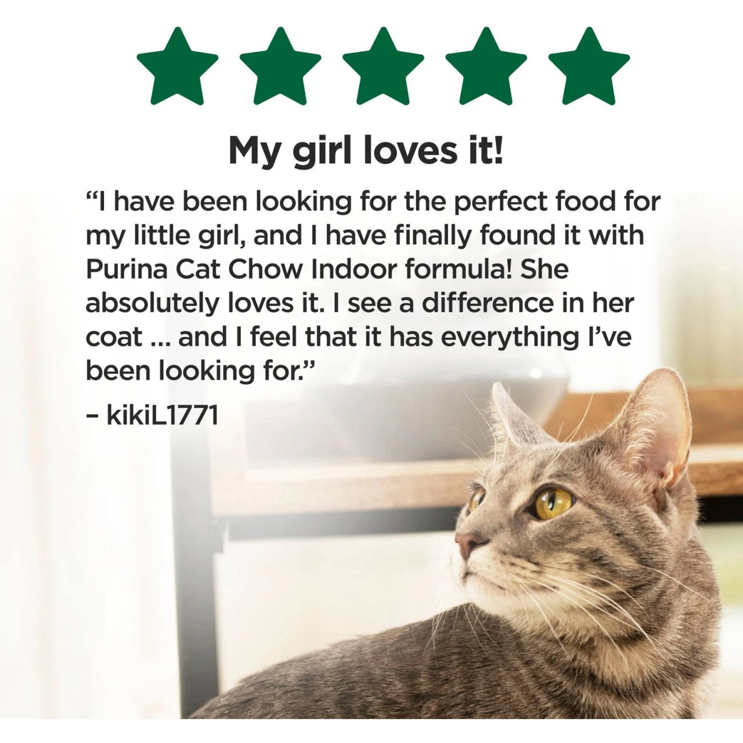 Cat Chow Indoor Hairball & Healthy Weight Dry Cat Food 8 Cat Chow Indoor Hairball & Healthy Weight Dry Cat Food - Image 6