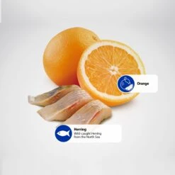 Farmina N&D Ocean Herring & Orange Adult Grain-Free Dry Cat Food -PurePet Bites Shop 175524 PT4. AC SS1800 V1591127568