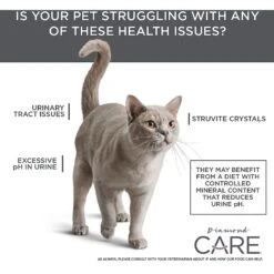 Diamond Care Urinary Support Formula Adult Dry Cat Food -PurePet Bites Shop 175579 PT5. AC SS1800 V1587655887