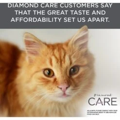 Diamond Care Urinary Support Formula Adult Dry Cat Food -PurePet Bites Shop 175579 PT6. AC SS1800 V1587655858