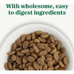 Nutro Wholesome Essentials Sensitive Cat Chicken, Rice & Peas Recipe Adult Dry Cat Food -PurePet Bites Shop 176458 PT3. AC SS1800 V1702665939