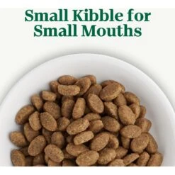 Nutro Wholesome Essentials Adult Chicken & Brown Rice Recipe Dry Cat Food -PurePet Bites Shop 176461 PT3. AC SS1800 V1702665931