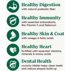 Nutro Wholesome Essentials Adult Chicken & Brown Rice Recipe Dry Cat Food -PurePet Bites Shop 176461 PT7. AC SS1800 V1702665888