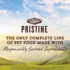 Castor & Pollux Pristine Grain-Free Cage-Free Duck Recipe Morsels In Gravy Cat Food Pouches -PurePet Bites Shop 176639 PT2. AC SS1800 V1702939197
